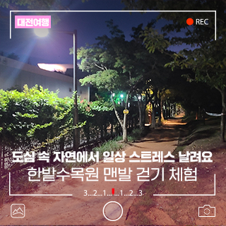 도심 속 자연 치유, 대전 한밭수목원 맨발 걷기 체험