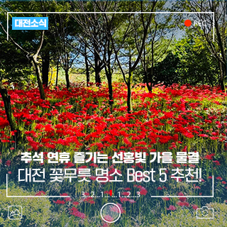 대전 꽃무릇 명소 Best 5, 추석 연휴 즐기는 선홍빛 가을 물결