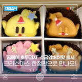 대전 '꿈돌이 호두과자' 12월 25일까지 크리스마스 특별 한정판 판매!