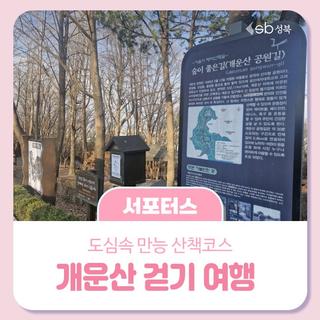 도심 속 만능 산책코스개운산 걷기 여행