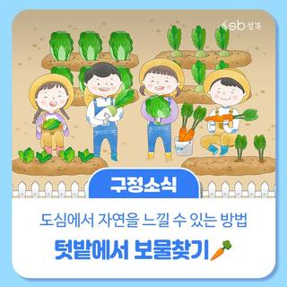 성북구 초등생을 위한 텃밭에서보물찾기!