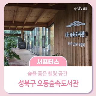 숲을 품은 힐링공간, 오동숲속도서관