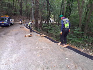 2023년 9월 넷째주 현장대응추진단 활동 내용