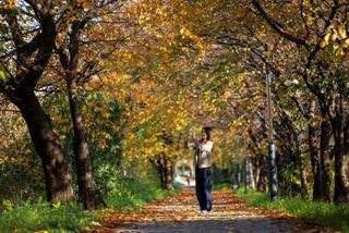 동해시 단풍 명소 소개(2탄)