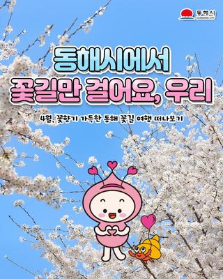 동해시에서 꽃길만 걸어요, 우리