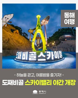 도째비골 스카이밸리 야간 개장 안내✨