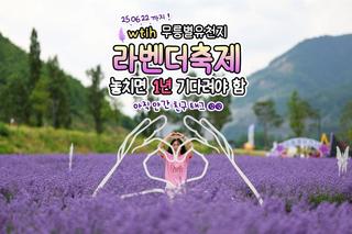 무릉별유천지 라벤더축제 속으로~