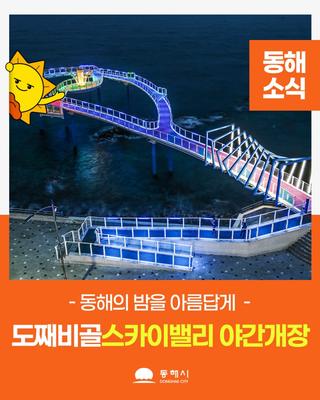 도째비골 스카이밸리 야간개장 정보 안내