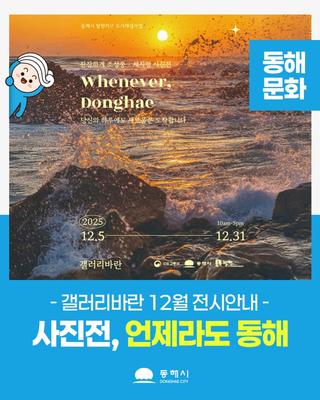 잔잔하게 조성중 · 채지형 사진전 <언제라도 동해>