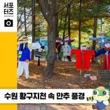 황구지천 산책로, 빠르게 지나간 가을 풍경 ☆