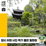 한여름 도심 속 쉼표 효원공원월화원 ☆