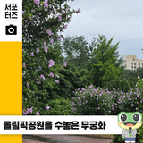 올림픽공원 곳곳에 피어난 무궁화 ☆