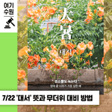 [2025년 7월 절기] '대서' 뜻과 무더위 대비 방법☀️(+여름에 가면 좋을 수원 명소 소개까지)