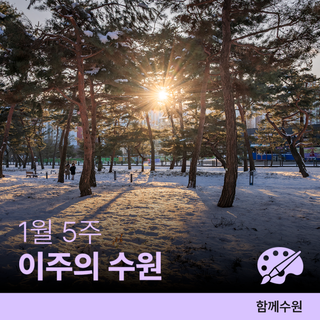 수원 [1월 다섯째 주] 문화 행사&스포츠 경기 일정 안내