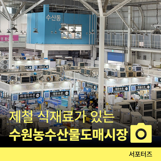 수원시 농수산물 도매시장 제철 농수산물 겨울 끝자락과 봄의 설렘 ☆