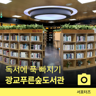 광교푸른숲도서관, 수원 푸른 자연 속에서 책 읽기 좋은 곳 추천 ☆