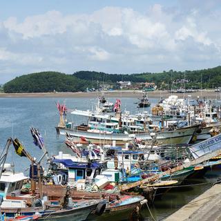 가을여행의 낭만을 선사해 줄 태안 항구 모음 -드르니항, 백사장항, 옷점항, 영목항