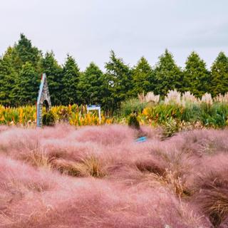 국내 가을 여행지 태안에서 늦가을 정취에 흠뻑 빠져보세요~