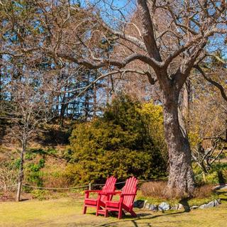 봄봄봄 봄이 왔어요! 싱그러운 봄기운 물씬 느껴지는 태안 수목원 4