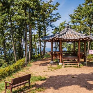 봄여행 추천! 힐링 가득 산림욕을 만끽할 수 있는 태안 숲캉스 명소