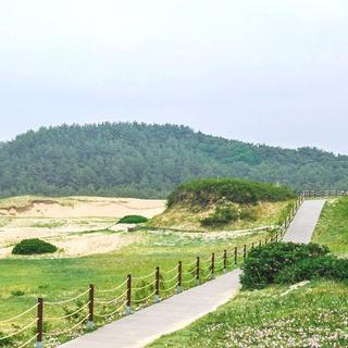 아이와 함께 현장체험학습 가기 좋은 곳! 태안 신두리 해안사구, 몽산포해수욕장
