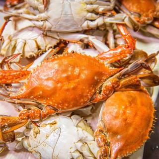 가을 제철맞이! 살이 꽉~ 찬 태안 꽃게가 돌아왔어요!