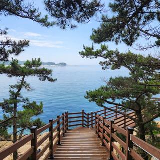 드디어 선선해진 가을! 바람 쐬러 가기 좋은 태안 나들이 명소 9곳 추천