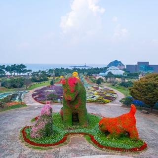 가을꽃 축제가 한창! 태안 가을꽃박람회가 열리는 안면도 코리아플라워파크