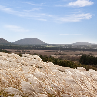 국내 가을여행지 추천! 충남 태안 여행지 BEST 3