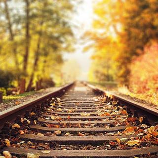 가을향 물씬 풍기는 태안 여행지 - 신두리해안사구, 청산수목원, 흥주사 은행나무