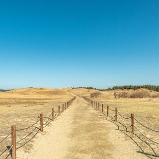 태안 여행 바다에 사막이 있다? 신두리해안사구