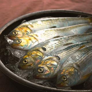 꽃게 만큼이나 유명하다는 태안 특산물이 있다?