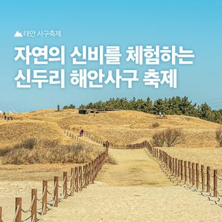 자연의 신비를 체험하는 태안 축제! 신두리 해안사구 축제가 개최됩니다.