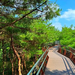 올가을 충청도여행은 태안으로! 태안 가을여행지를 소개합니다.