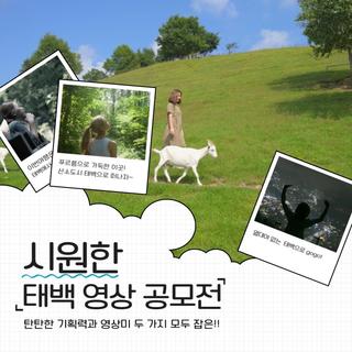 [시원한 태백 영상 공모전] 수상작 안내