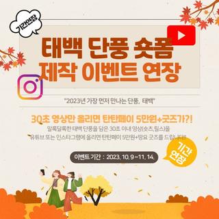 태백 단풍 숏폼 제작 이벤트 연장 알림