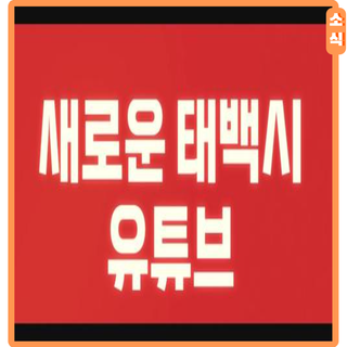 태백시 공식 유튜브