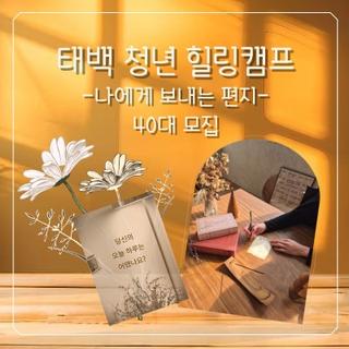 태백 청년 힐링캠프 40대 참가자 모집