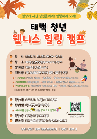 태백 청년 웰니스 힐링 캠프