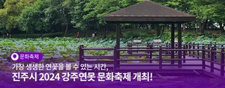 한옥뷰, 축제 재미, 전통의 멋 품은 진주시 연꽃 명소