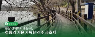 봄날 산책하기 좋은 곳, 청룡의 기운 가득한 진주 금호지