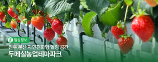 진주 문산 자연친화형 힐링 공간, 두메실농업테마파크 | 시민명예기자