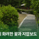 진주 도심 속 자연 신안녹지공원의 화려한 꽃과 지압보도 | SNS 서포터즈