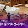 진주시 진양호 우드랜드, '소목의 결, 공예의 숨' 기획전시 개최