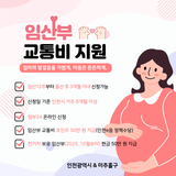 임산부 교통비 지원사업 안내 (2025. 10월부터 전기차 NEW!)