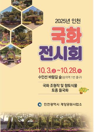 ️ 2025 인천 국화 전시회, 수인선 바람길 숲️