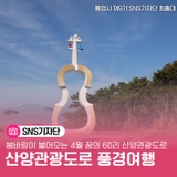 봄바람이 불어오는 4월 꿈의 60리 산양관광도로로 떠나보는 풍경여행