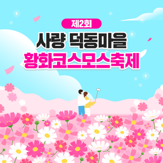 제2회 사량 덕동마을 황화코스모스 축제