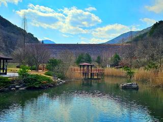 봄나들이가 더없이 좋은 벽계관광지생태연못