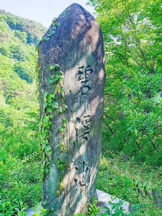 벽계지에 대하여 알아봅니다.